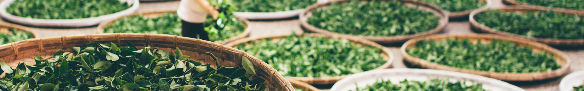 爱游戏真人体育娱乐