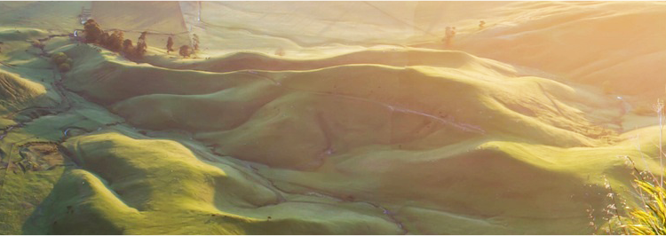 爱游戏真人体育娱乐